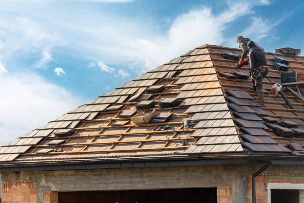Best Asphalt Shingle Roofing  in Columbus, NC