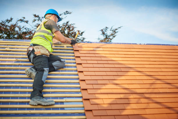 Best Green or Eco-Friendly Roofing Solutions  in Columbus, NC